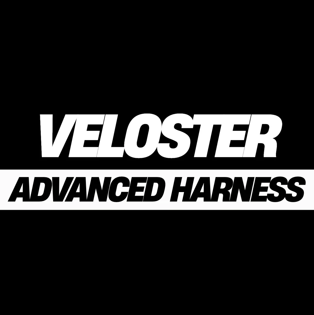 Hyundai Veloster (2011-2018) Advanced Harness for Factory Navigation / Amplified Models